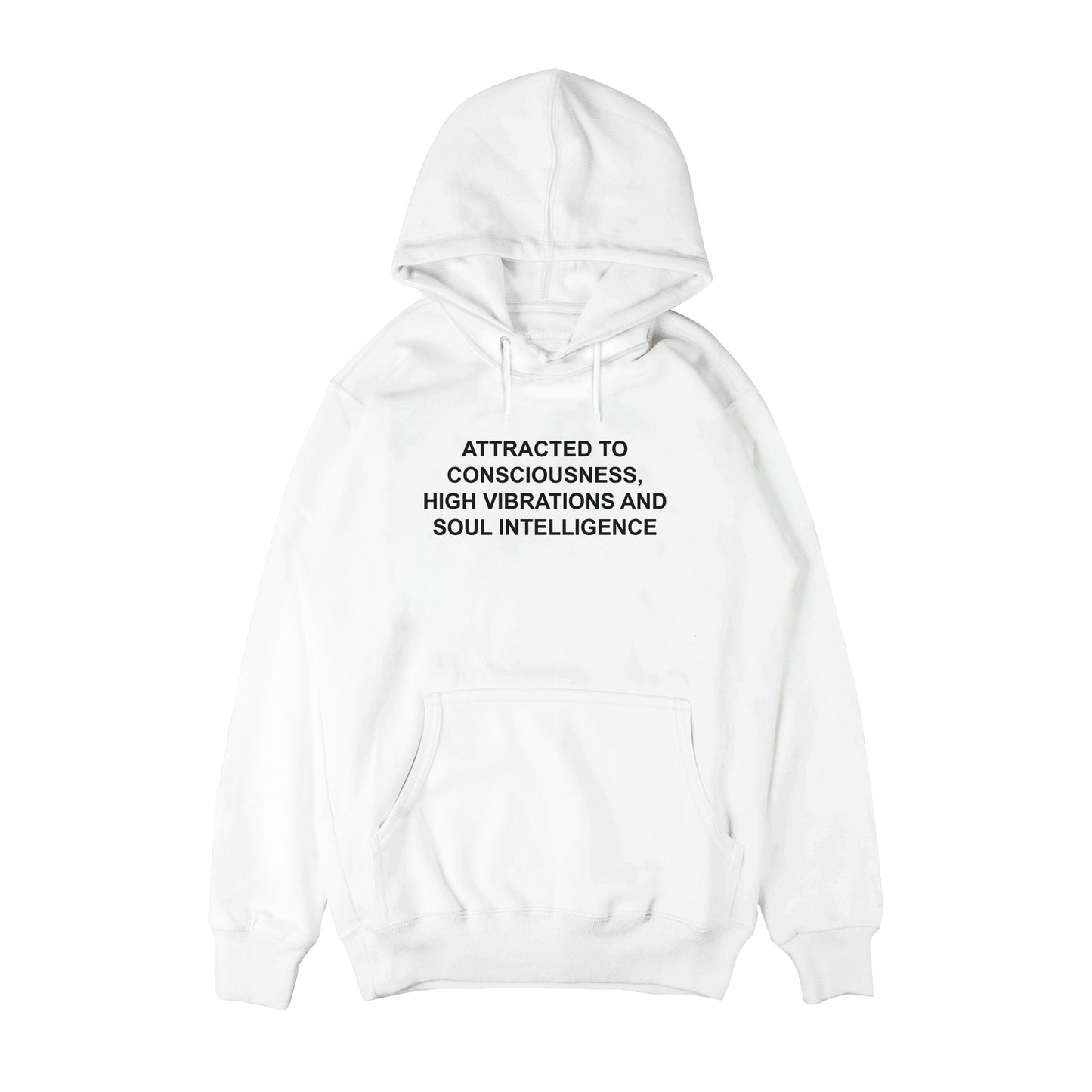Attracted to consciousness higher vibration Hoodie