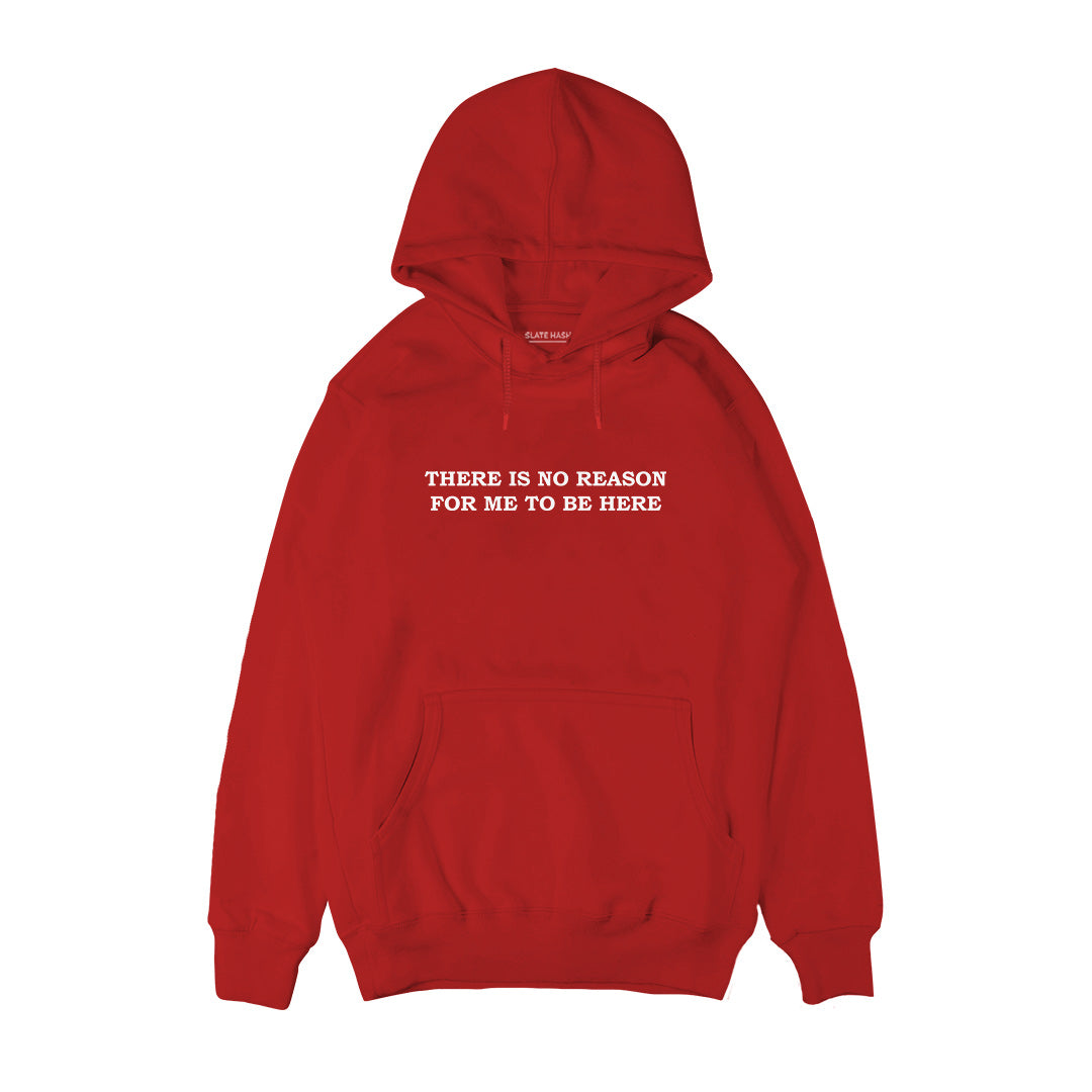 There is no reason for me to be here Hoodie